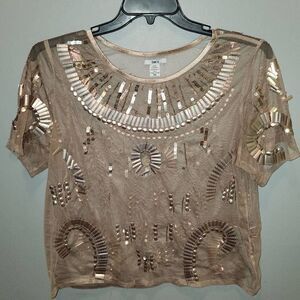 Bar III SHEER TOP 